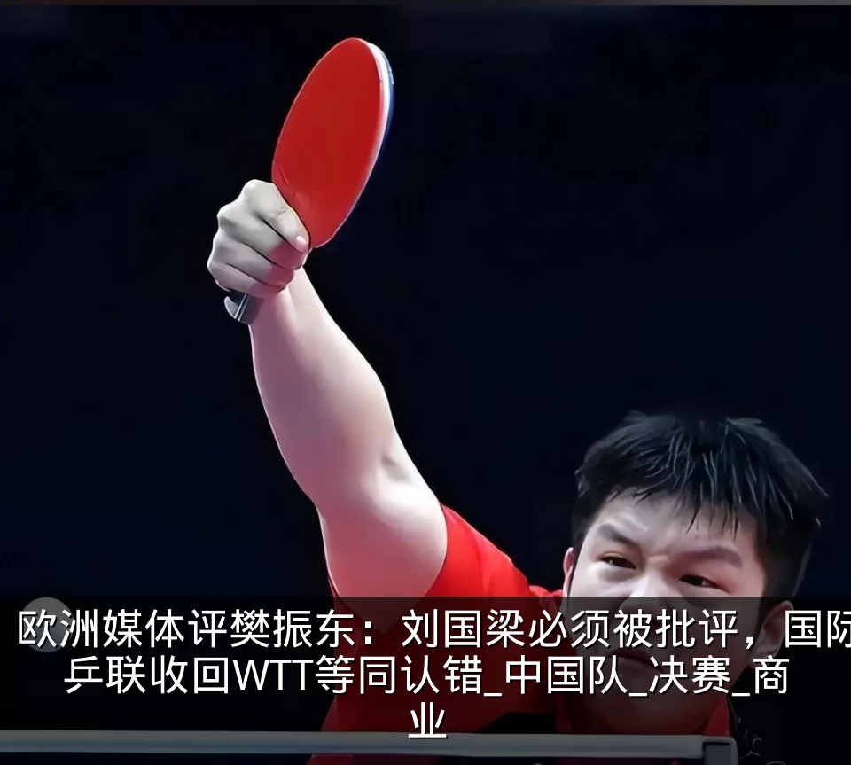 欧洲媒体评樊振东:刘国梁必须被批评,国际乒联收回WTT等同认错_中国队_决赛_商业